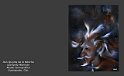 foto-pintura-escultura-museo-obra-de-arte-Nierman