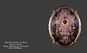 foto-pintura-escultura-museo-obra-de-arte-Sagrado-Corazon